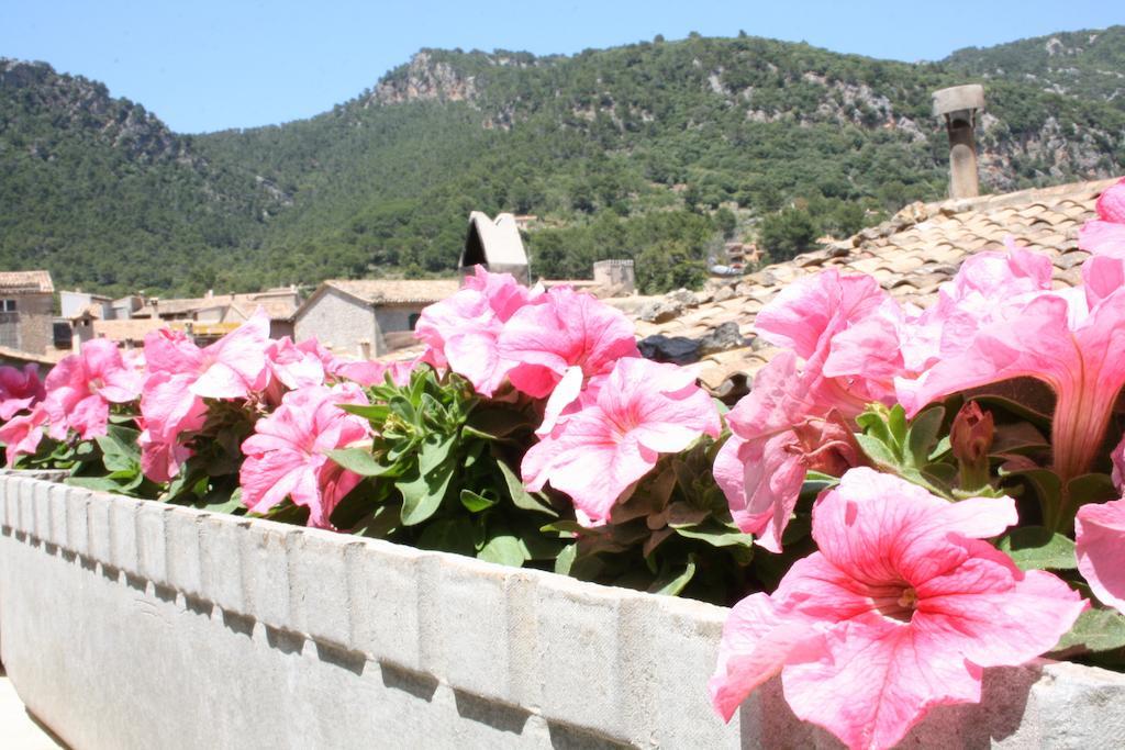 Ca's Papà Valldemossa (Mallorca)